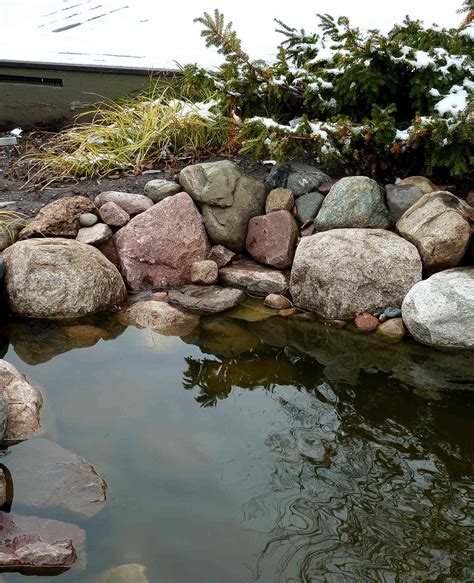 The Best Types of Plants to Pair with Matic Pond Rocks in Your Garden